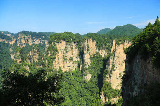 张家界风景区峰林地貌景观