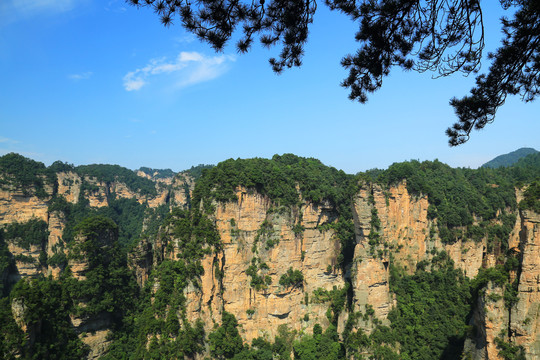 张家界风景区峰林地貌景观