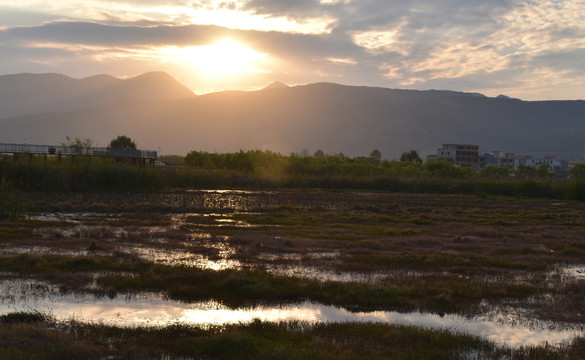 夕照会泽湿地公园