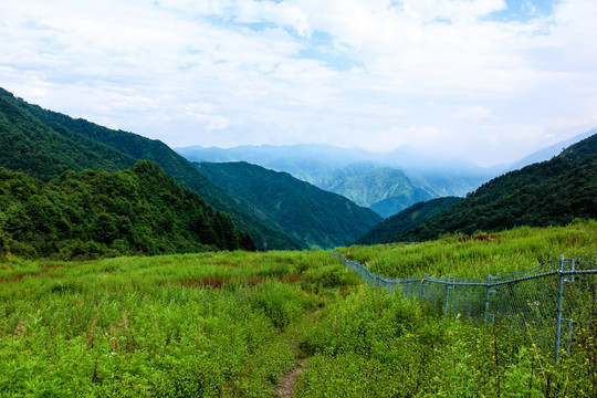 雅安碧峰峡