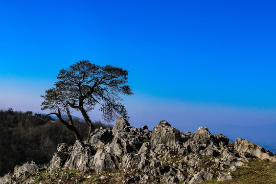 云南高山风光