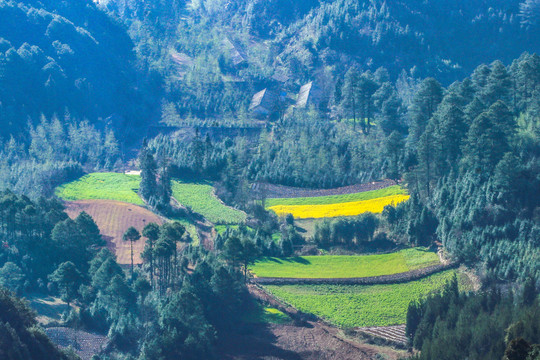 云南高山风光