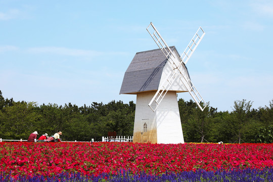 花海木屋