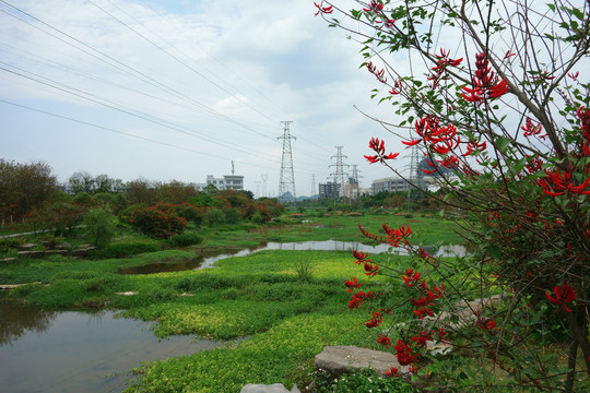 高压线