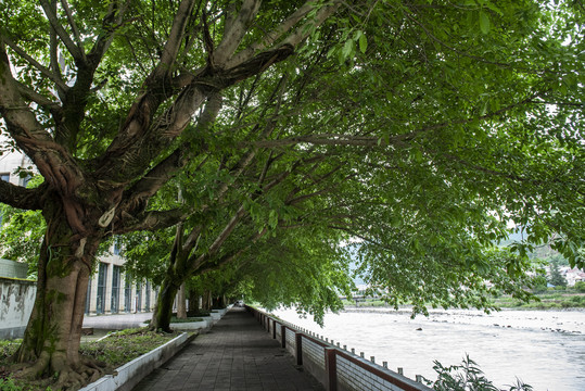 防洪堤台阶