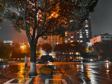 雨后街景