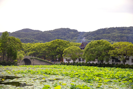 舟山普济寺海印池