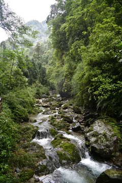 深山溪流