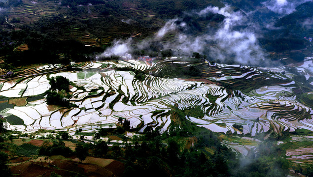 元阳梯田