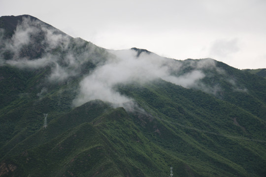 高山云雾