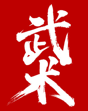 武術(shù)