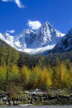 毕棚沟雪山风光