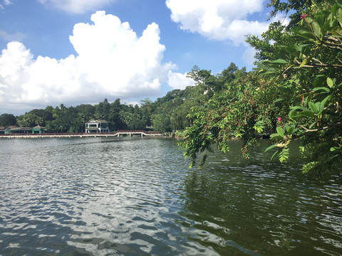 新会玉湖美景