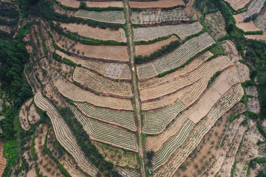 山区梯田美景