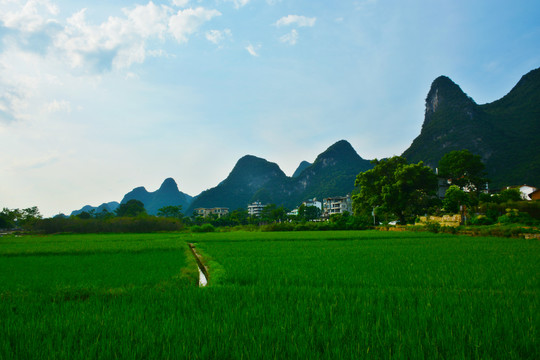 稻田群山