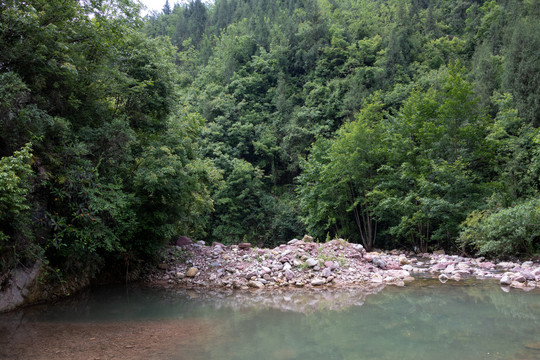 重庆巫山龙潭溪绿树河流