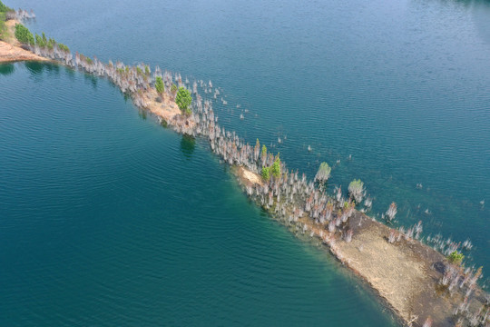 黄河湖泊黄河千岛湖