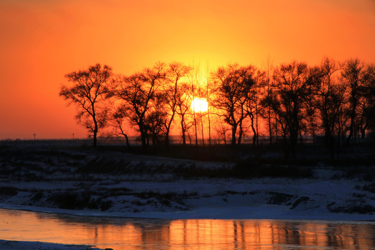 雪地红日夕阳森林