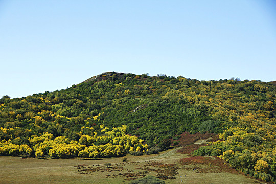 红山军马场