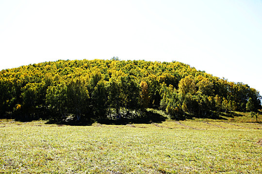 紅山軍馬場