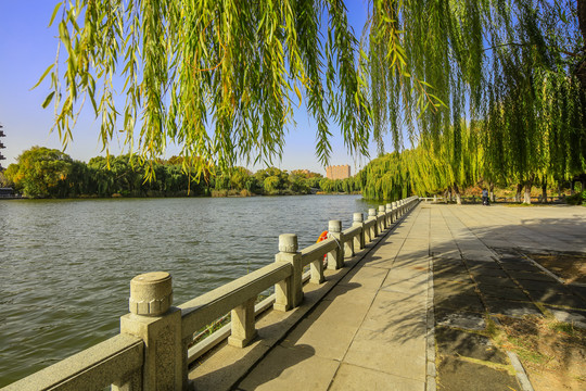 济南大明湖风景