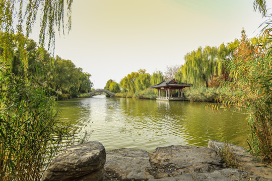 济南大明湖公园秋景