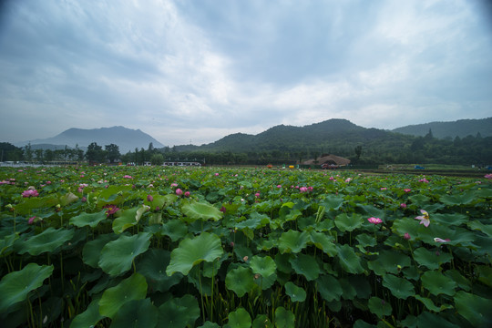 安吉余村