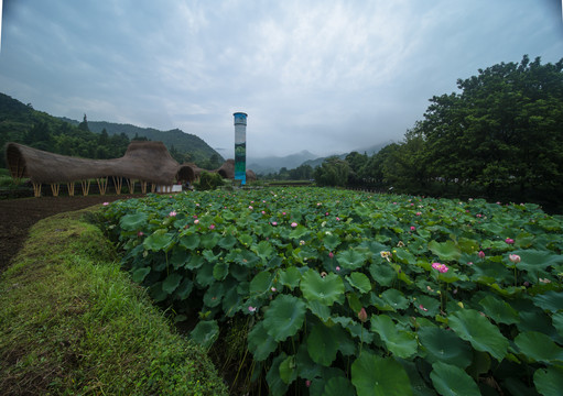 安吉余村