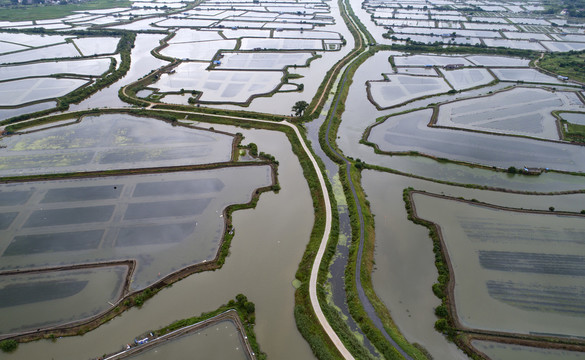 江苏南京溧水区和凤镇美丽乡村