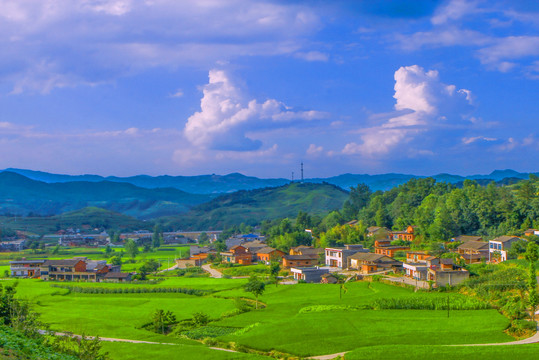 松树沟村