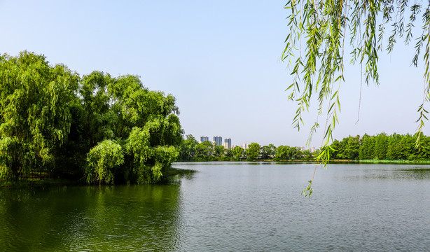 湖水森林倒影风光