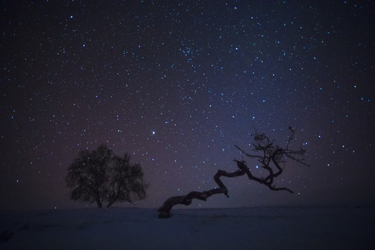 夜景