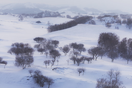 雪景