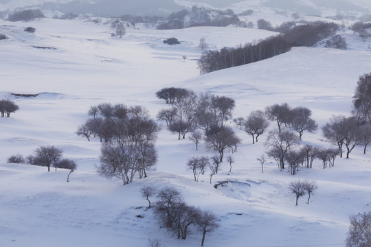 雪景