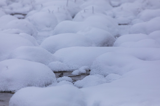 雪包