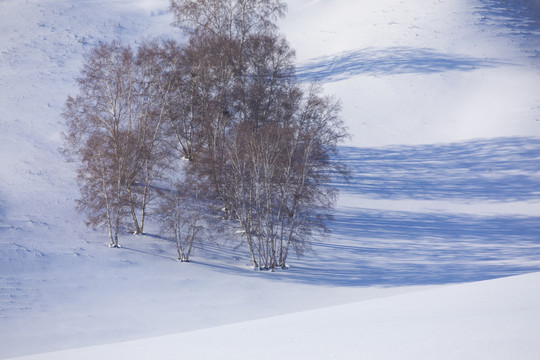 雪景