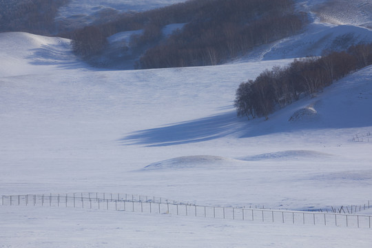 雪景