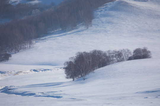 雪景