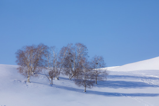 雪景