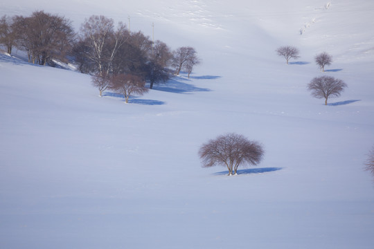 雪景