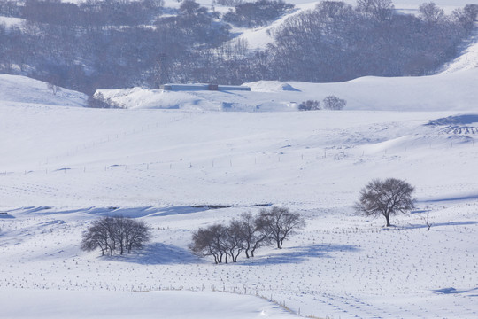 雪景