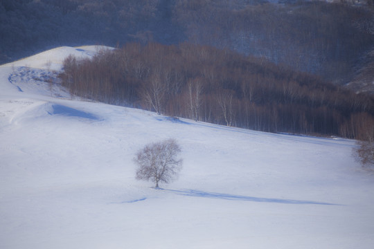 雪景