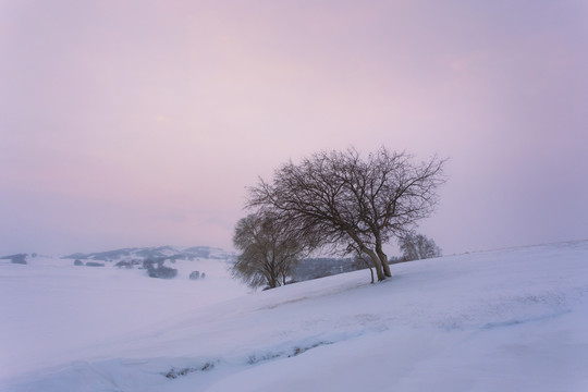 雪景