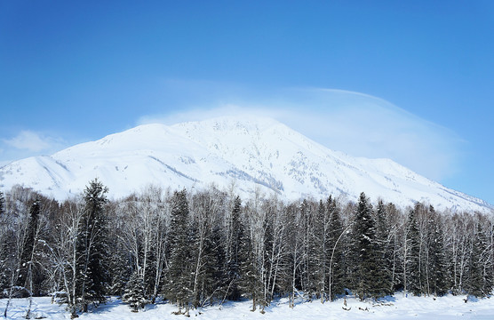 绝美冬日雪景新疆冰雪世界山森林