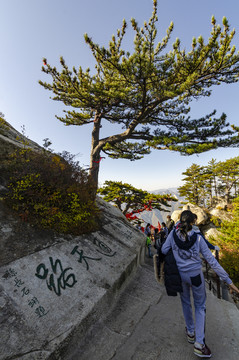 华山风景