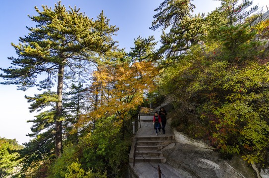 华山风景