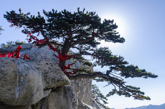 华山风景