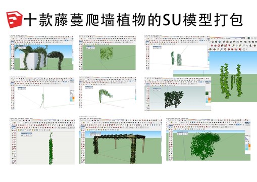 十款藤蔓爬墙植物的SU模型