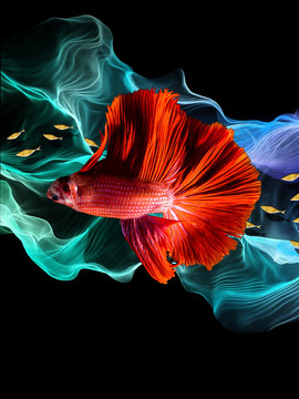 金魚藝術