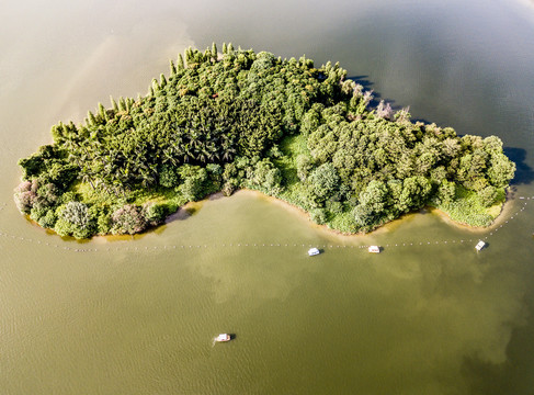 广东省清远市飞来湖湿地公园湖心